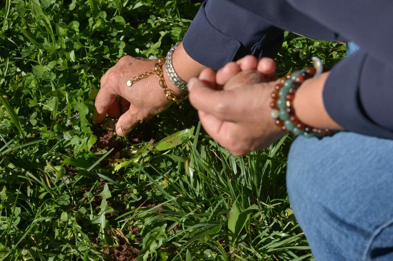 MSKÜ’de Sürdürülebilir Yaşam Günü 6